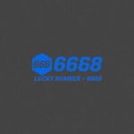 6686ainnet