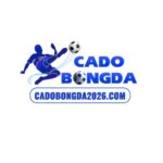 Cá Độ Bóng Đá