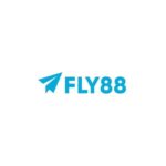 2027fly88