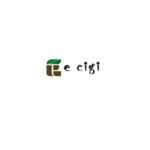 ecigibolt