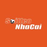 Soi Kèo Nhà Cái