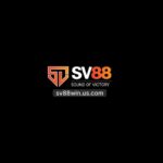 sv88winuscom